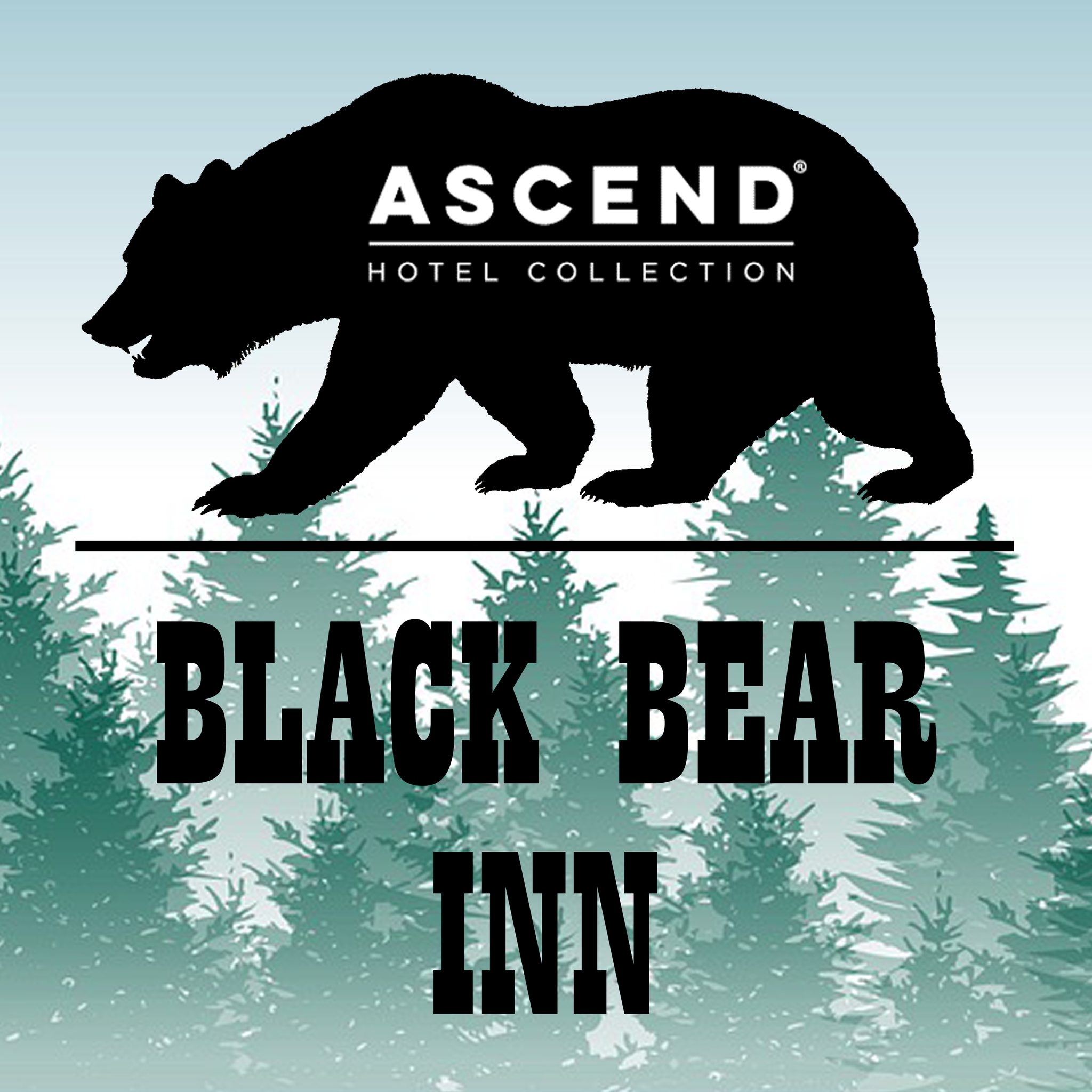 The Black Bear Inn logo